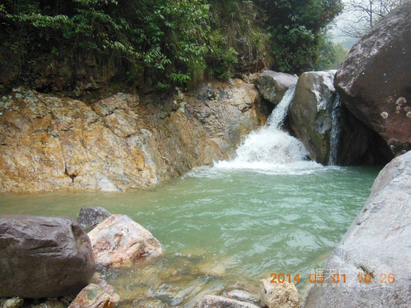 DSCN4993.jpg
