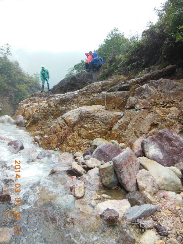 DSCN4994.jpg