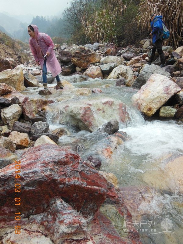 DSCN5001.jpg