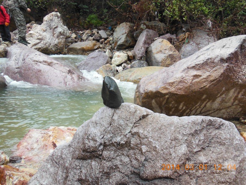 DSCN5017.jpg