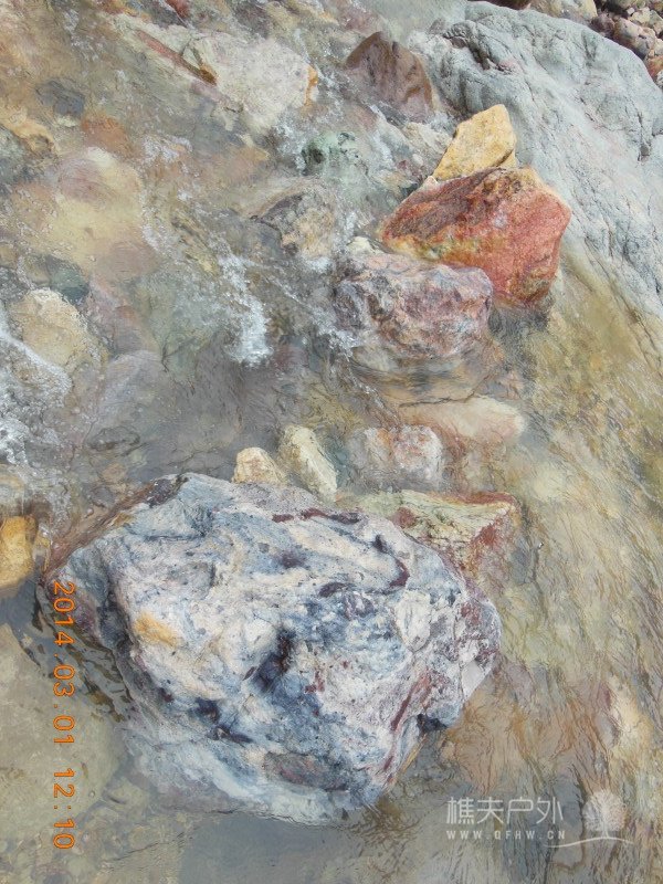 DSCN5026.jpg