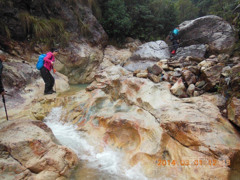 DSCN5030.jpg
