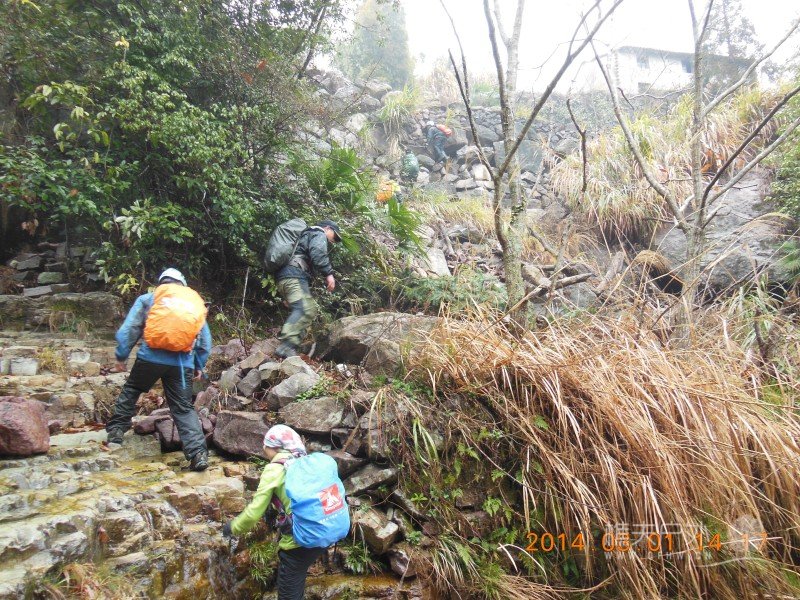 DSCN5099.jpg