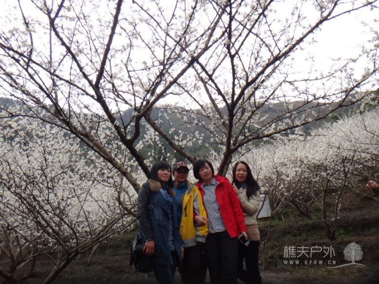 DSC09813.jpg