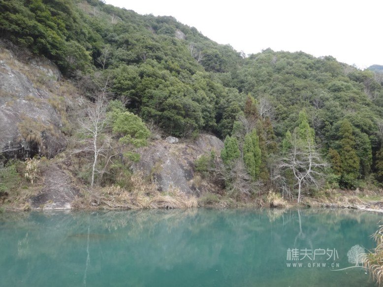 DSC09850.jpg