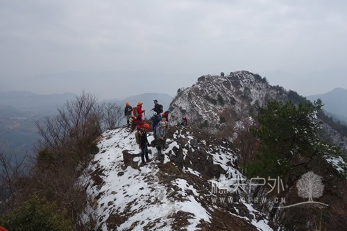 DSC08825.JPG