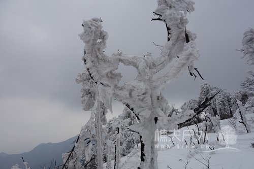 DSC08863.JPG