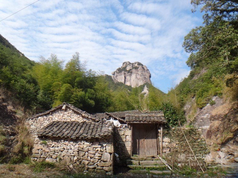 DSC00406.jpg