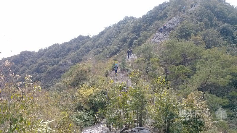 IMG_20140323_114115.jpg