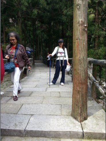 小样