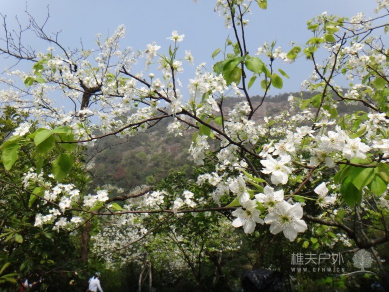 DSC00842.jpg