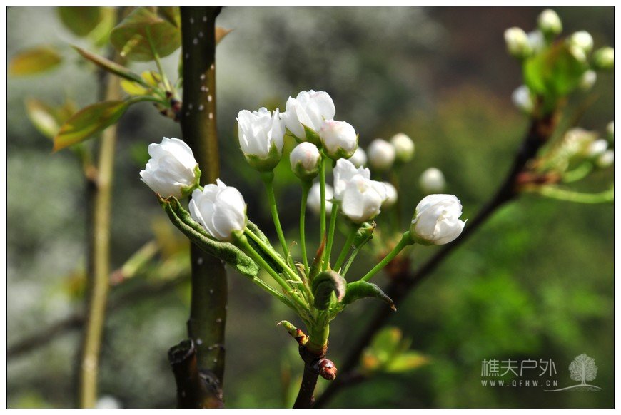 nEO_IMG_DSC_0682.jpg