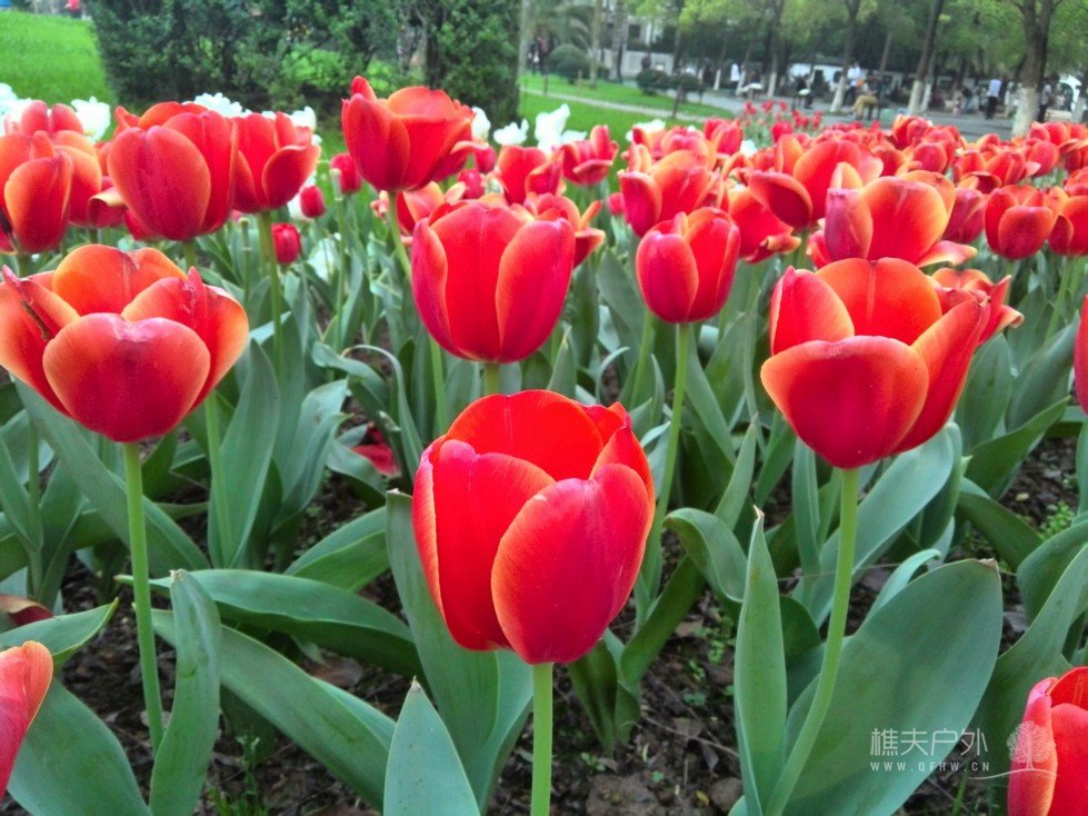 IMG_20140329_171527.jpg