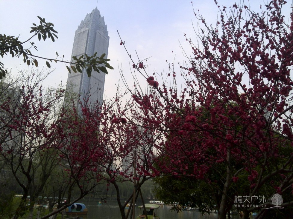 IMG_20140329_174358.jpg