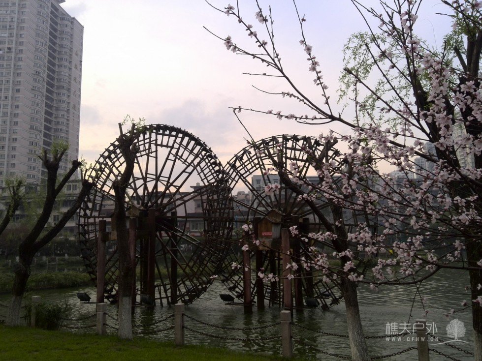 IMG_20140329_175027.jpg