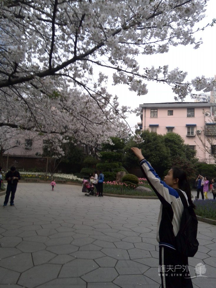IMG_20140329_175655.jpg