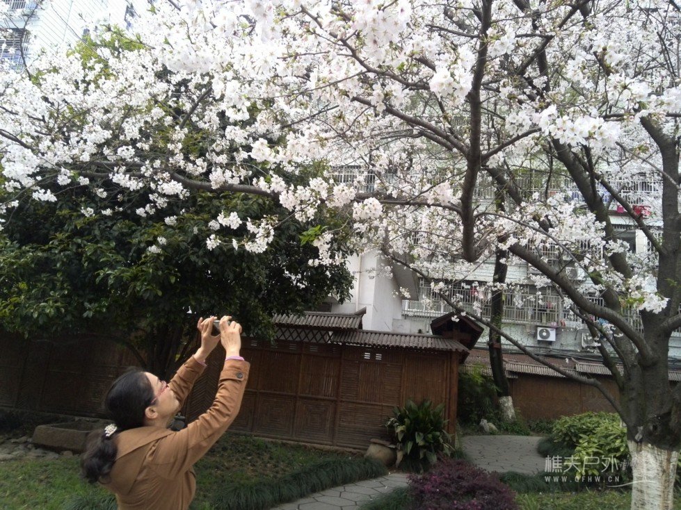 IMG_20140329_175705.jpg