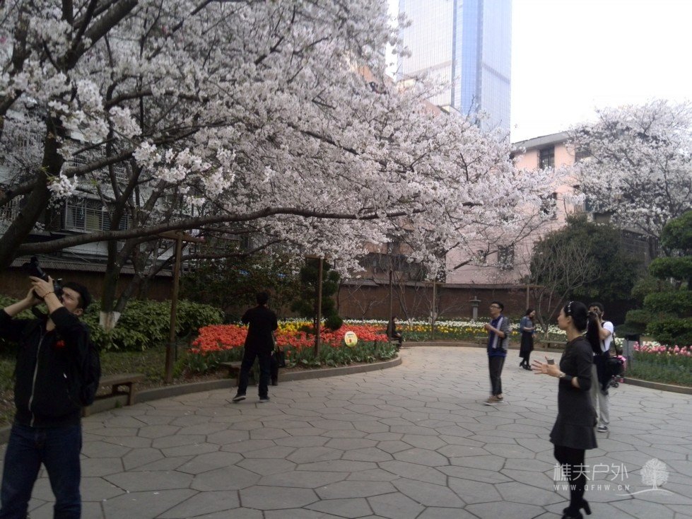 IMG_20140329_175826.jpg