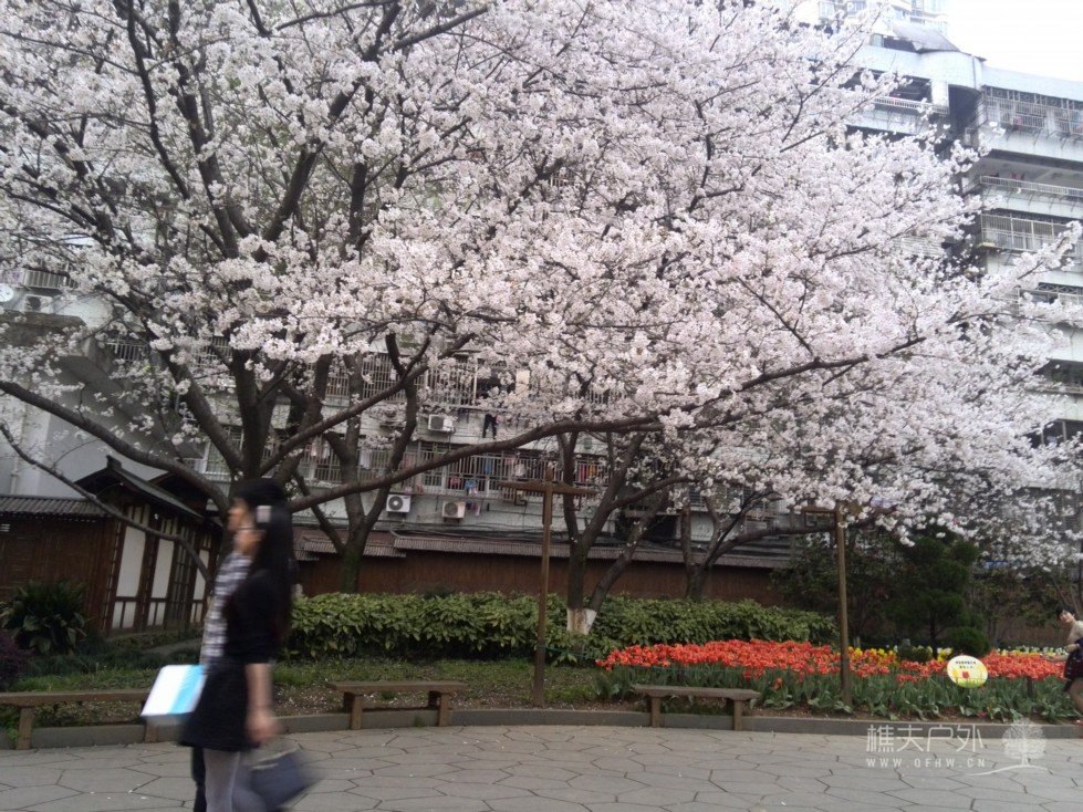 IMG_20140329_175927.jpg