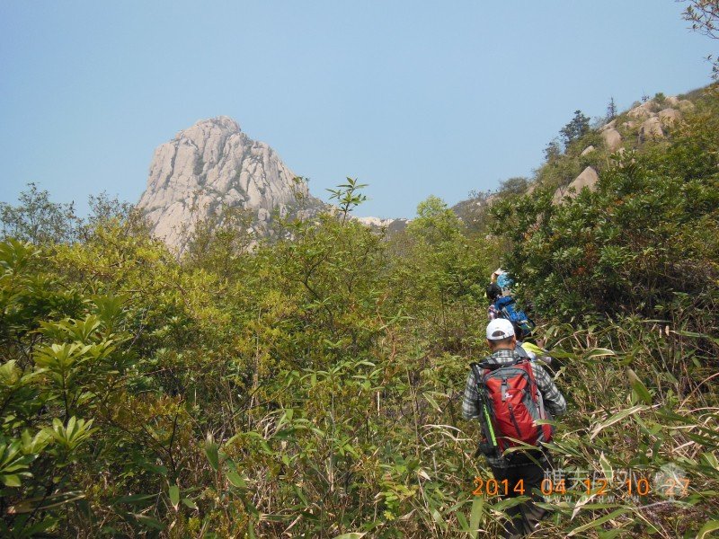 DSCN6737.jpg