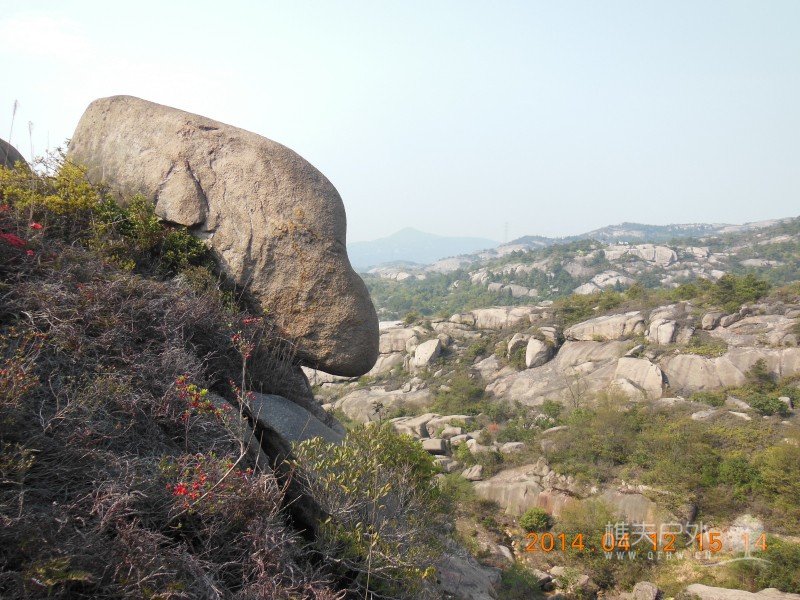 DSCN6946.jpg