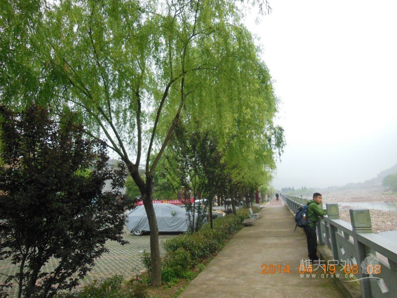 DSCN6992.jpg