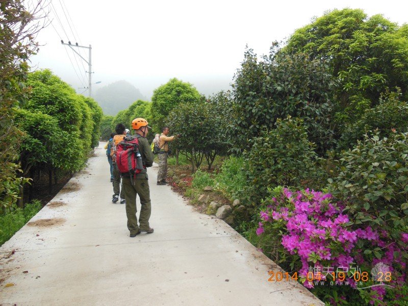 DSCN7005.jpg