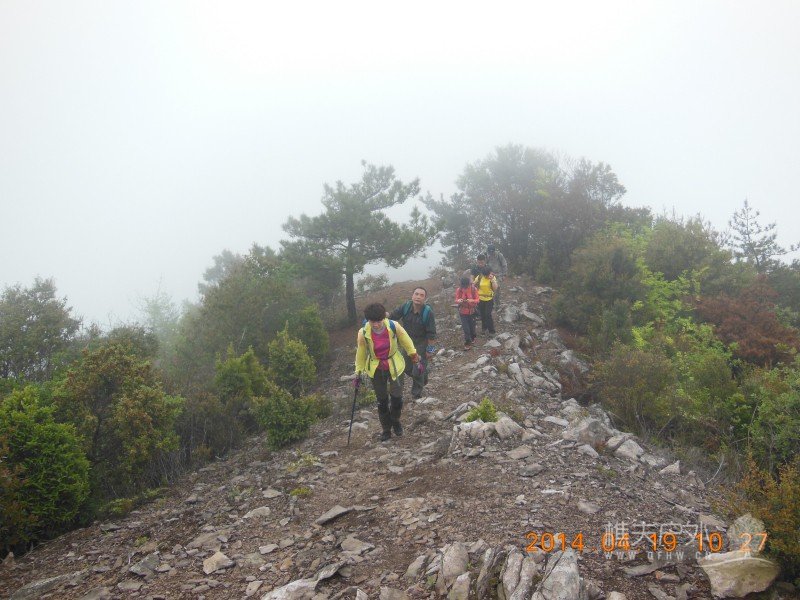DSCN7035.jpg