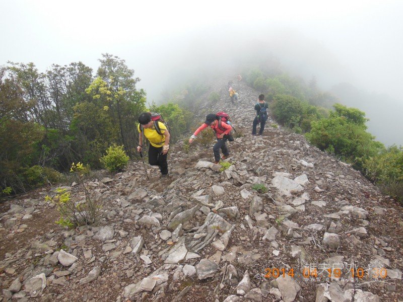 DSCN7037.jpg