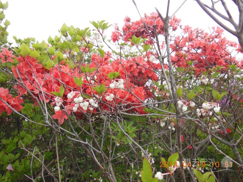DSCN7048.jpg