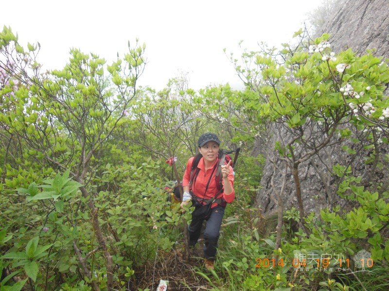 DSCN7056.jpg