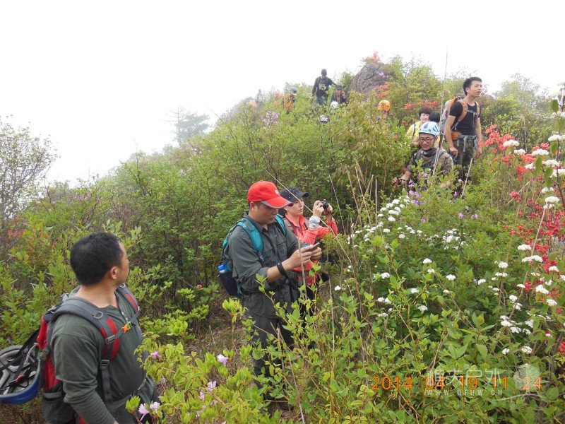 DSCN7068.jpg