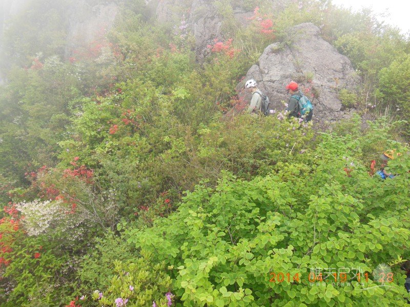 DSCN7073.jpg