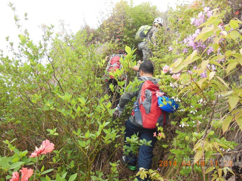 DSCN7074.jpg