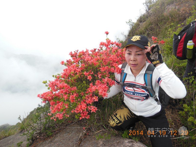 DSCN7103.jpg