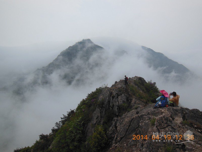 DSCN7114.jpg