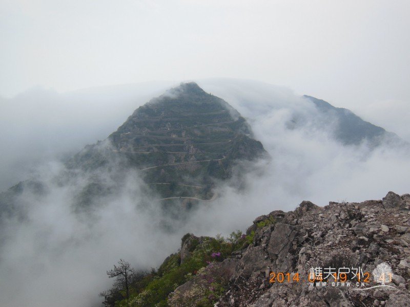 DSCN7121.jpg