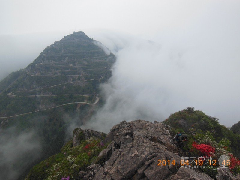 DSCN7125.jpg