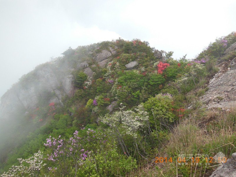 DSCN7127.jpg