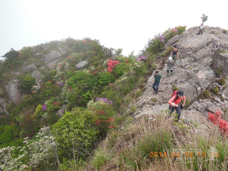 DSCN7130.jpg