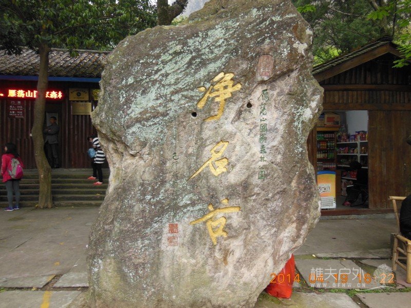 DSCN7216.jpg