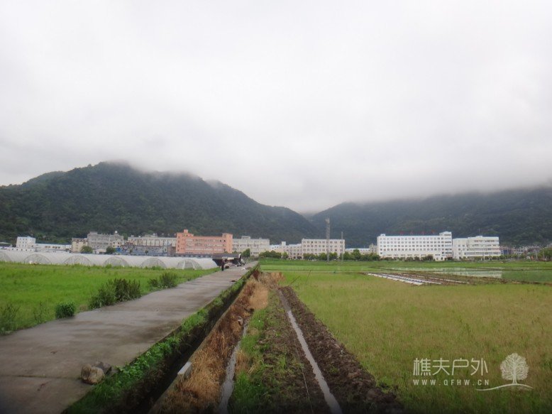 DSC01639.jpg