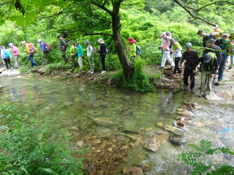 DSC01655.jpg