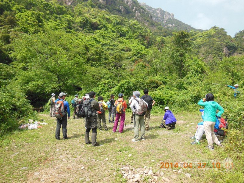 DSCN7223.jpg