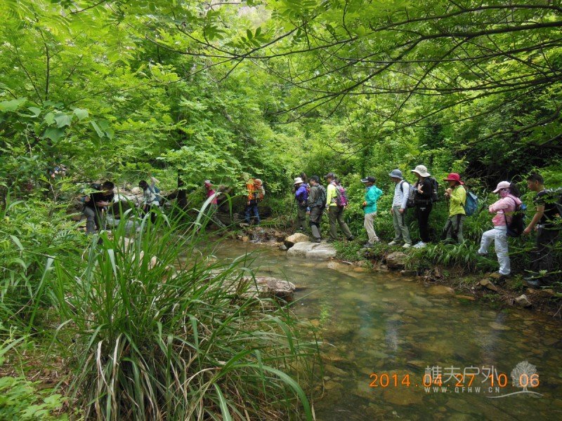 DSCN7226.jpg