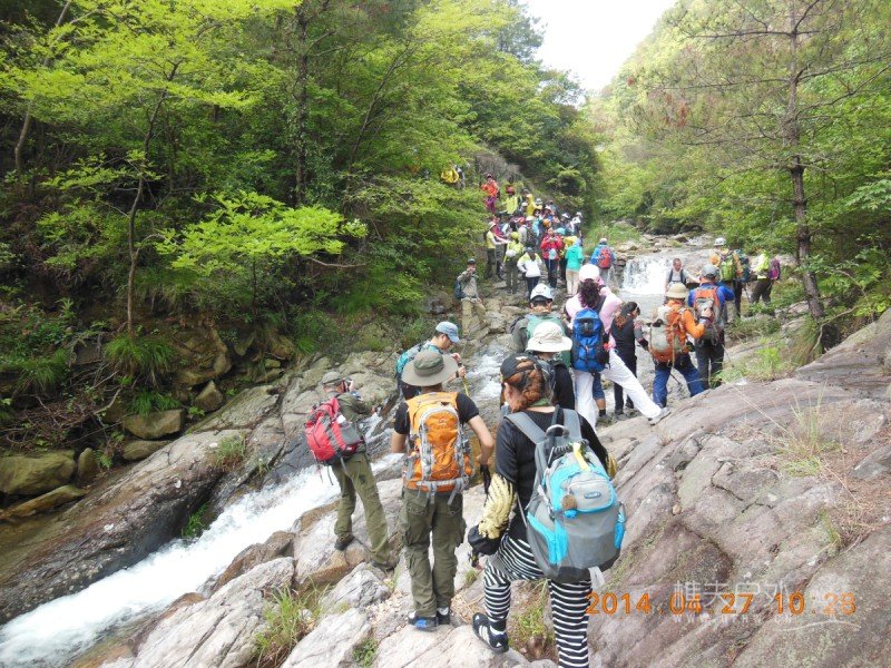 DSCN7258.jpg