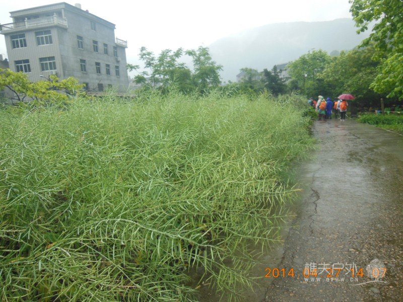 DSCN7280.jpg