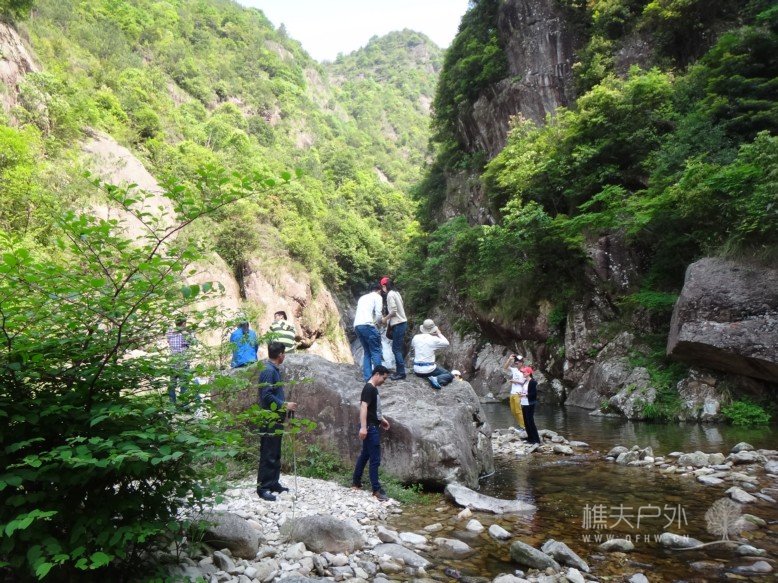 DSC01775.jpg