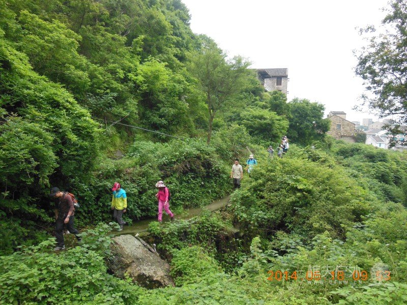 DSCN7305.jpg