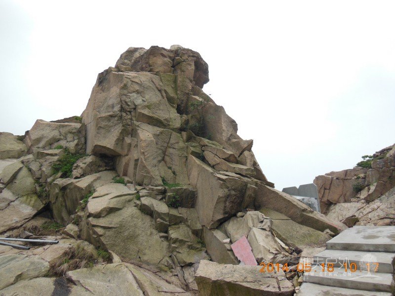 DSCN7330.jpg